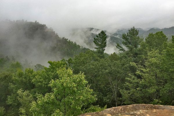 Hike Sheltowee Trace: Kentucky’s 323-Mile Long Trail