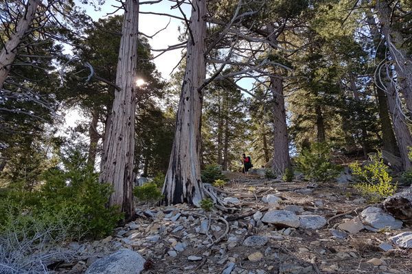 We Live Here: Week Two on the PCT 