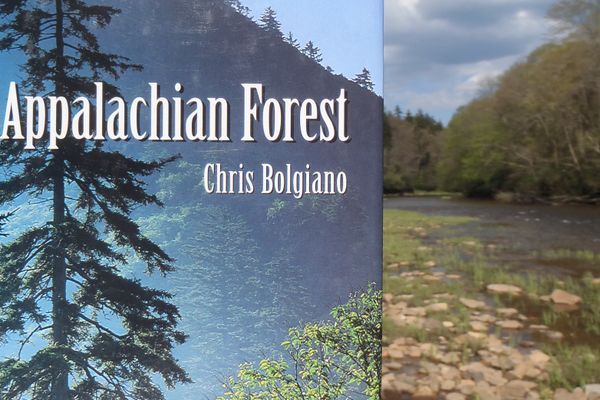 Review of Chris Bolgiano’s The Appalachian Forest