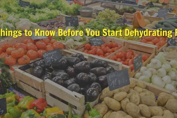 10 Things to Know Before You Start Dehydrating Food
