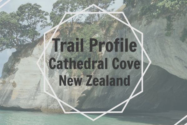 Cathedral Cove: Must-do Beach Walk in New Zealand