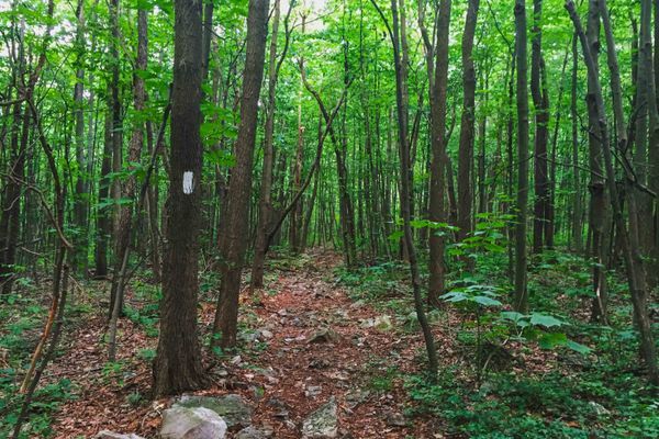 Pennsylvania: Must-See Day Hikes on the Appalachian Trail