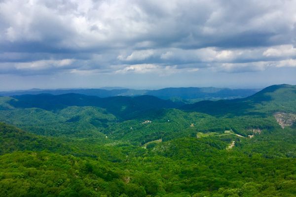 Into Roan Mountain