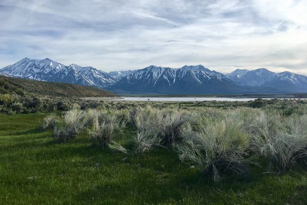 Video Update: Kennedy Meadows to Lone Pine (mile 702-745)