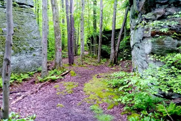 The Start and End of the Finger Lakes Trail