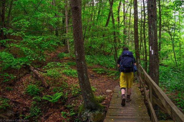 New Jersey: Must-See Day Hikes on the Appalachian Trail