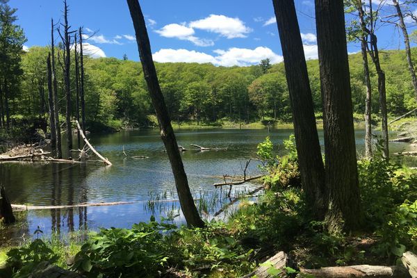 Katahdin Will Be There Next Year