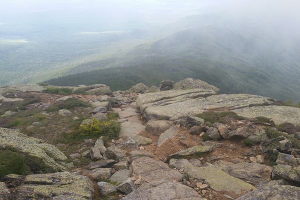 Franconia Ridge (August 6)
