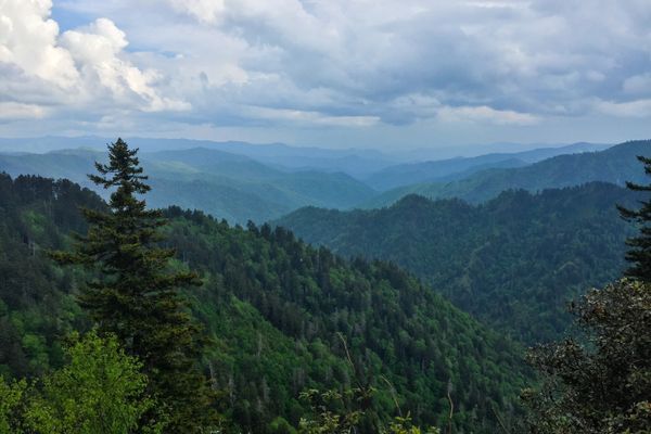 Great Smoky Mountains NP: Must-See Day Hikes on the AT