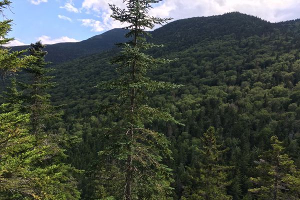 (Mis) Adventures of a Trail Angel in Maine’s Mahoosuc Range