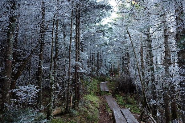 This Week’s Top Instagram Photos from the #AppalachianTrail