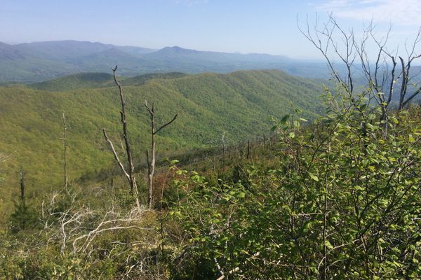 A Poorly Planned Pipeline Continues to Threaten the Appalachian Trail