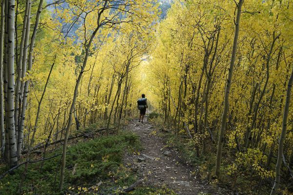 Pie On The Continental Divide Trail – Entering Colorado and hanging out with Big Agnes