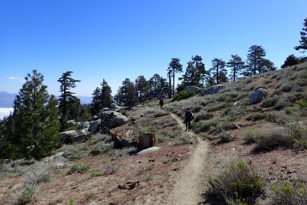 PCT Resupply: What it Cost and What We’d Do Differently