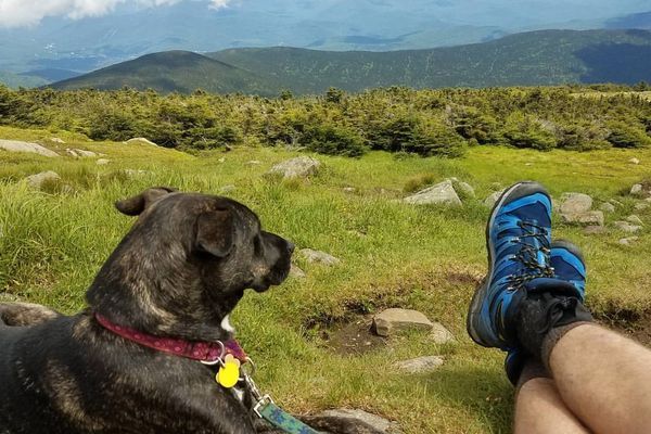Appalachian Trail: Delaying the Real World by Hiking