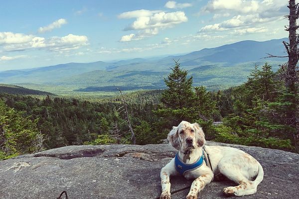 Why on Earth are my Dog and I Hiking the Appalachian Trail?