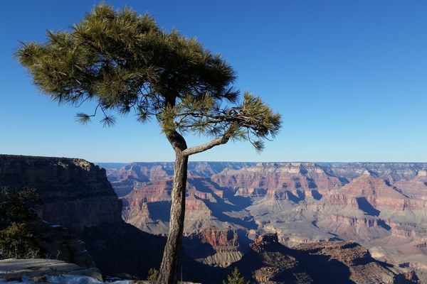 Arizona: Dry as a Dead Dingo’s Donga