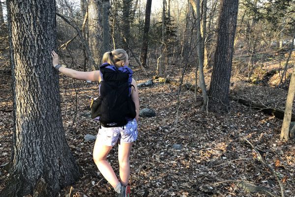 Sugar and Summits: Hiking the Appalachian Trail with Type 1 Diabetes