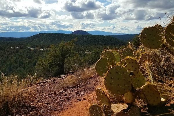 Like Eating and Breathing, I Hike Because I Must