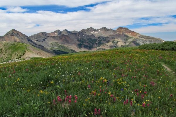 The Colorado Trail: Epic Big-Mountain Hiking at its Finest
