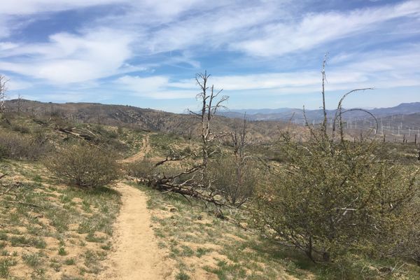 Two Speed’s One Month PCT Update