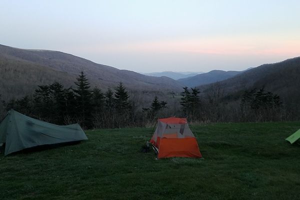 Wild Walking Through the Smokies and Beyond