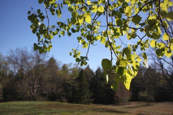 Restful Days at Home, Recharging Body and Soul