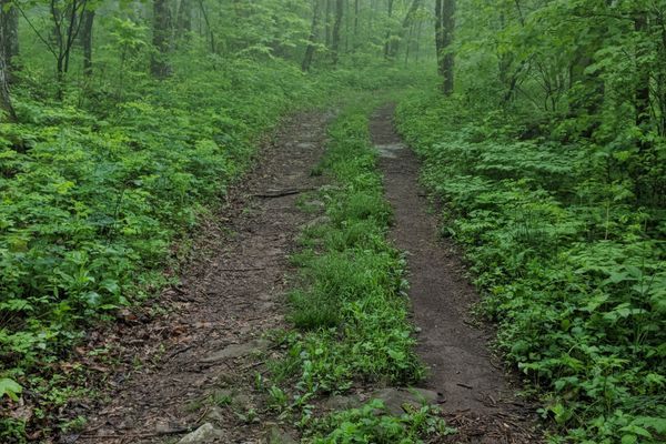 From the Continental Divide to the Shenandoahs.