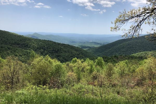Shenandoah – The Good, the Bad and the Ugly