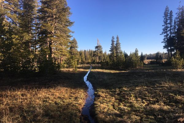 PCT Update, Section J