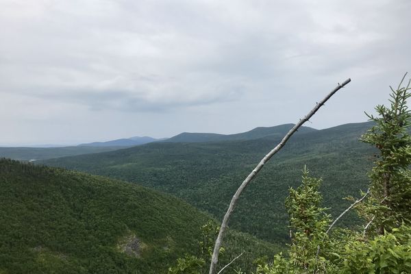The Trail Provides: Sugarloaf and Spaulding