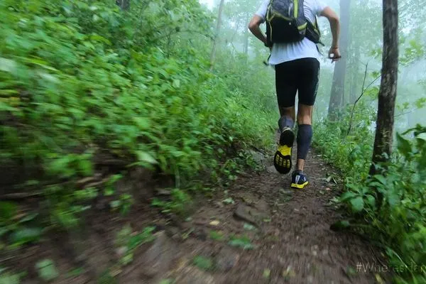 Q&A With Harvey Lewis: The Most Recent Runner to Attempt the Appalachian Trail FKT