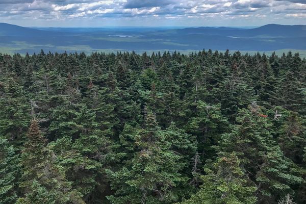 A day on the Appalachian Trail