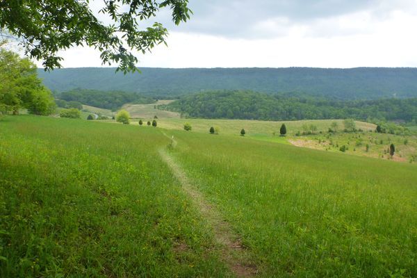 How to Section Hike Virginia II: Pearisburg to Daleville