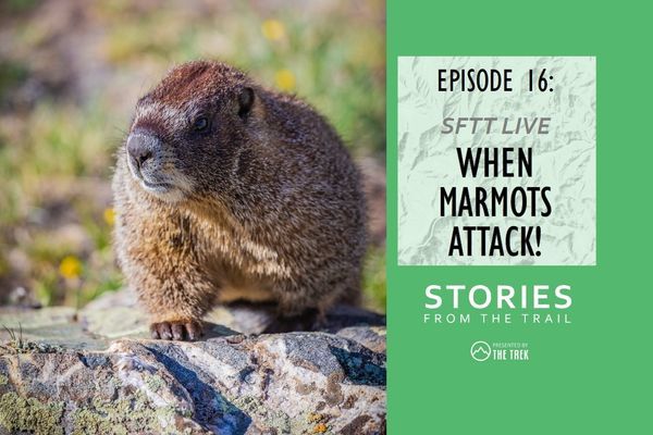 Stories From The Trail Ep 16 – Live! When Marmots Attack!