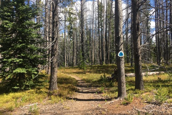 Road Detour and Returning to Trail