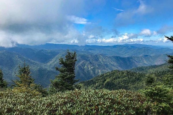 Three Favorite Day Hikes in Great Smoky Mountains National Park
