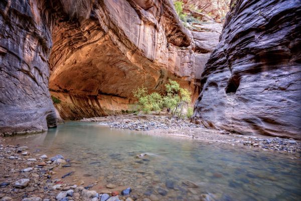 Zion National Park Resumes Issuing Narrows Permits