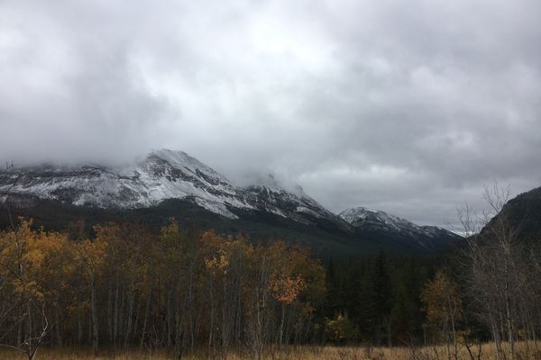 Walking Through the Bob, Waiting Patiently for Winter