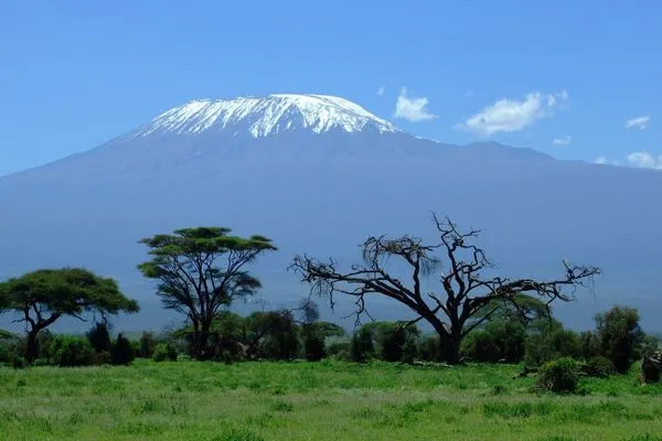 Reaching the Roof of Africa: How to Hike Mount Kilimanjaro