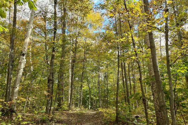 La Cloche Silhouette Trail: 48 Miles in the Canadian Shield