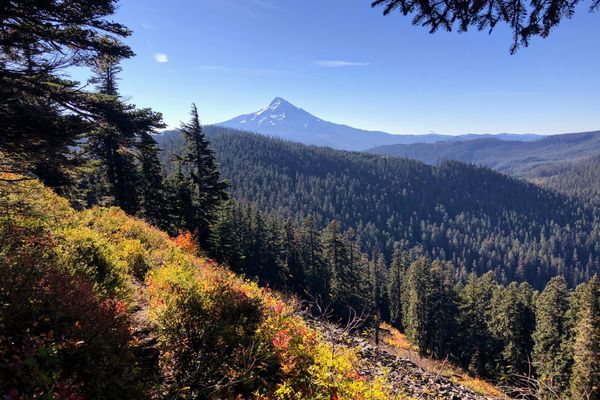 Chinook Trail – Meeting Up With The PCT From Hood River, OR, To Lost Lake Resort