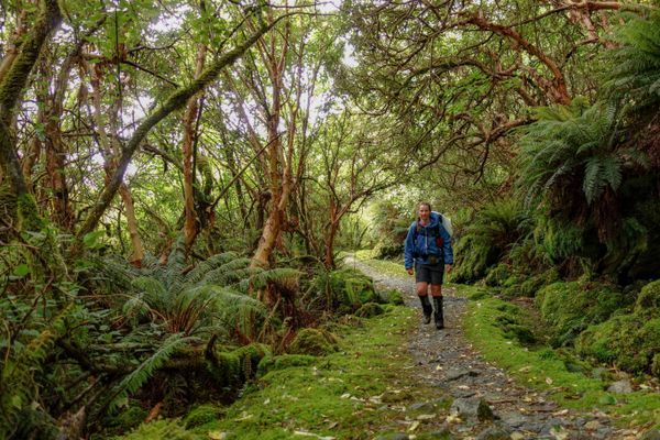 Train for the PCT by Hiking 1,800 Miles on the Te Araroa