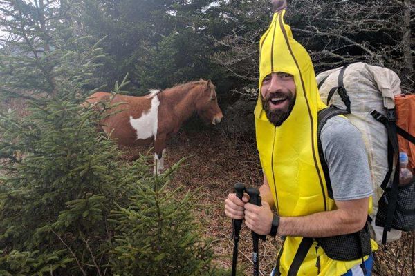 A Banana, a Pickle, and a Hot Dog Walk into the Grayson Highlands…