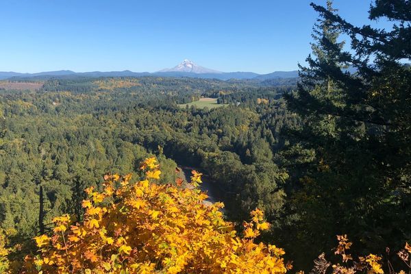 Chinook Trail – Mount Hood to the End in Portland, OR