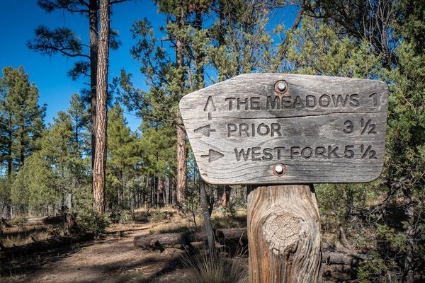 Into the Wilds of the Gila Wilderness, Day 3