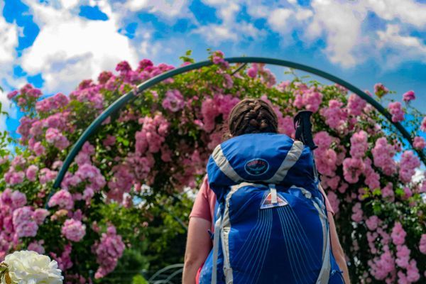 The Joy of Urban Hiking on the Te Araroa