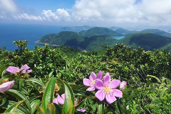 Four of Hong Kong’s Most Dazzling Thru-Hikes