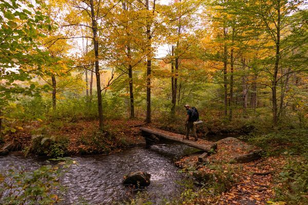 Connecticut: Must-See Day Hikes on the Appalachian Trail