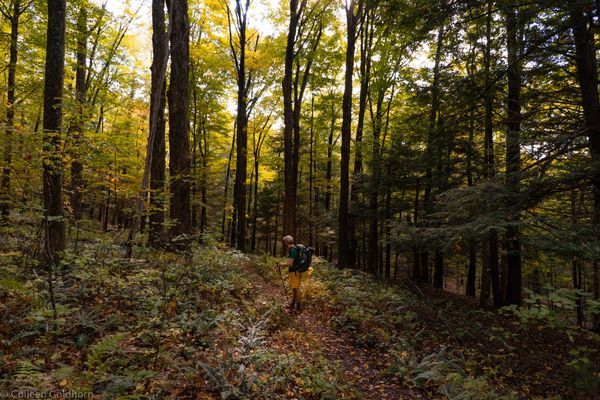 Closing the Gaps in Our National Scenic Trails: An Interview with Jim Kern